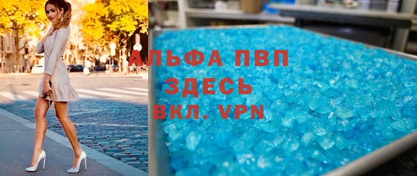 индика Алагир
