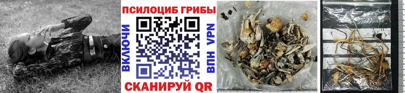 Псилоцибиновые грибы прущие грибы  Наволоки 